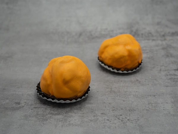 Oranje Bossche bol